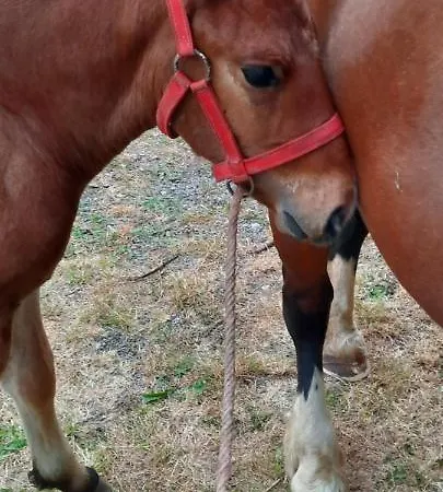 La Hervuerie Prázdninový dům