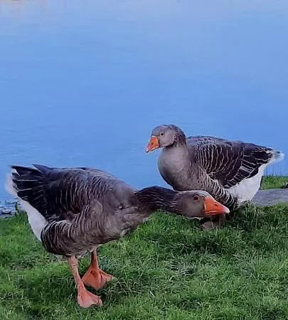 Prázdninový dům La Hervuerie