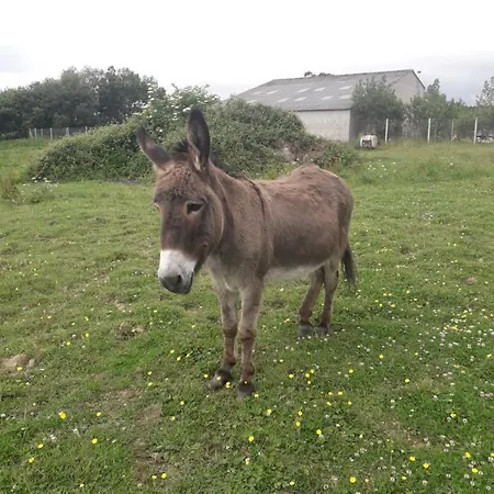 Ferienhaus La Hervuerie