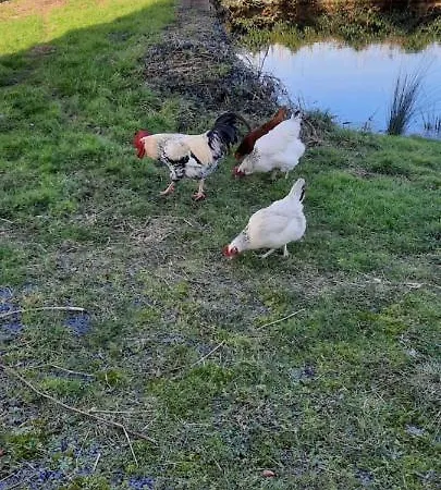 La Hervuerie La Haye