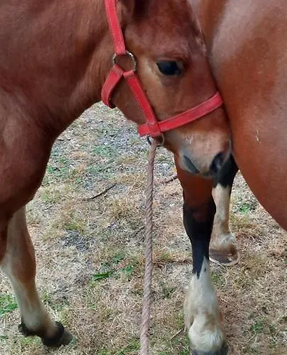 La Hervuerie Vakantiehuis