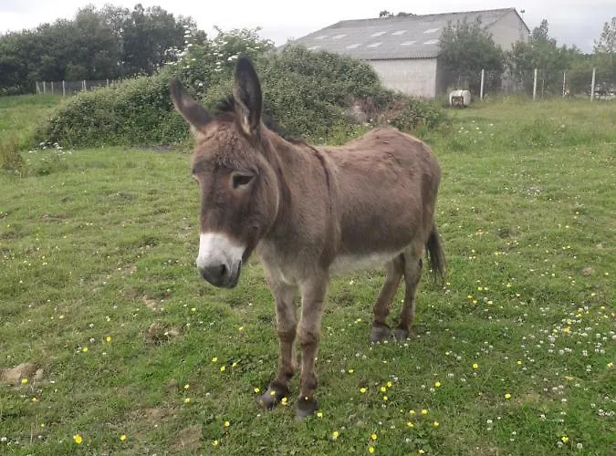 Ferienhaus La Hervuerie