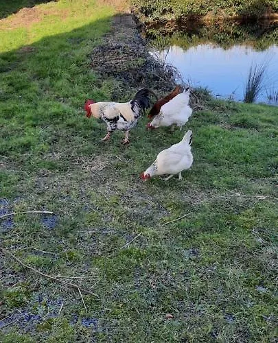 La Hervuerie La Haye